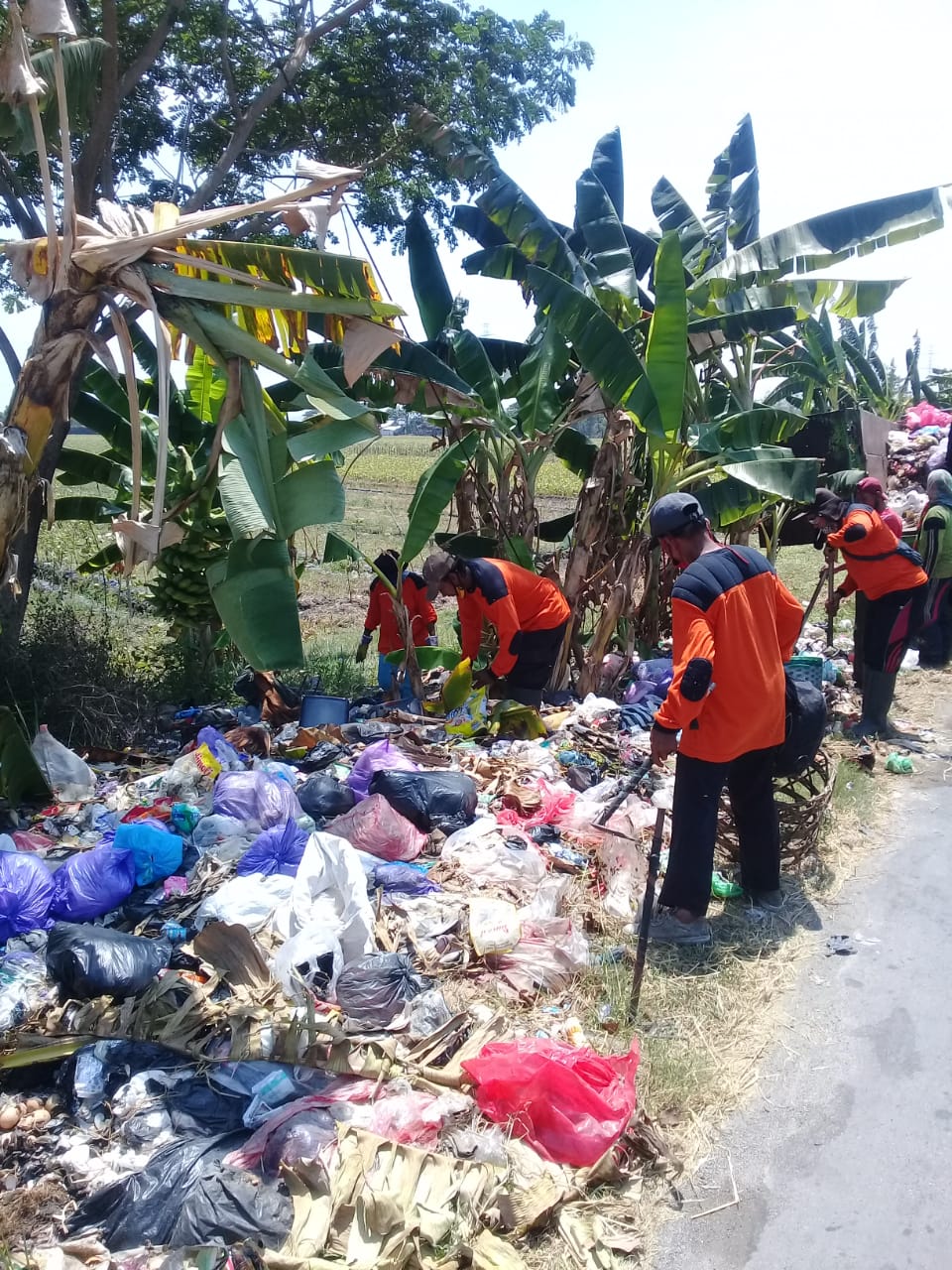 Sikat Sampah 2